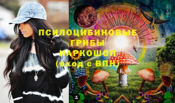 гидра Михайлов